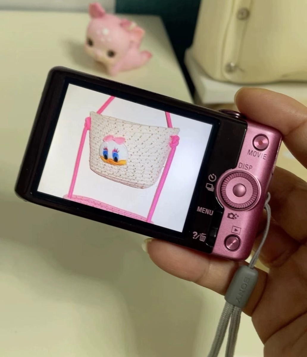 SONY Cyber-shot DSC-WX220 Digital Camera 18.2MP Compact English