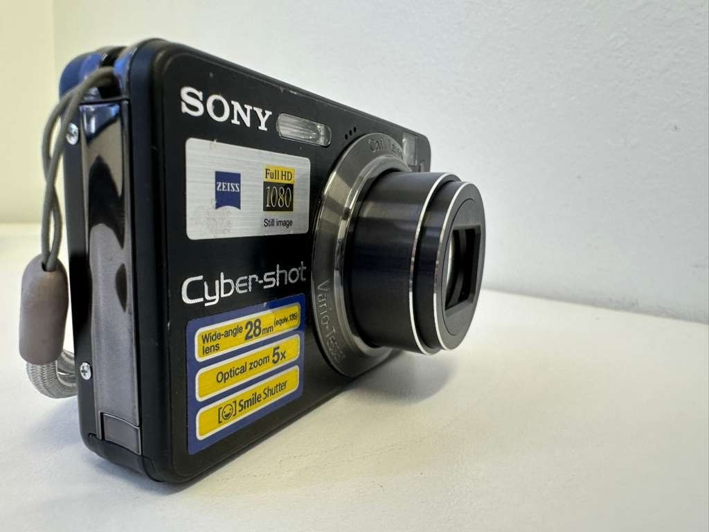 Sony Cyber-shot DSC-W170 10.1MP Digital Camera - Silver (DSC-W170