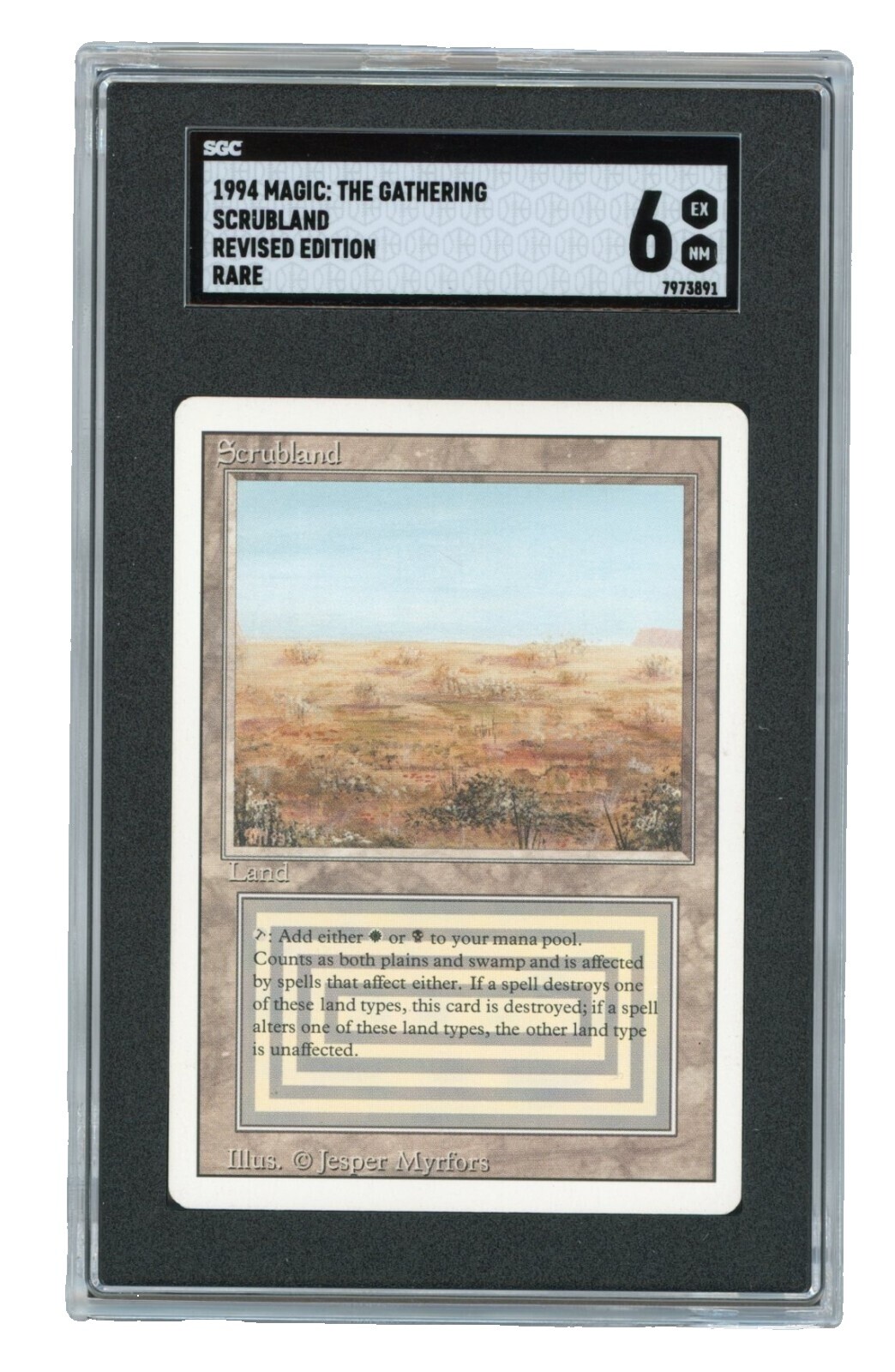 Revised Tundra | eBay