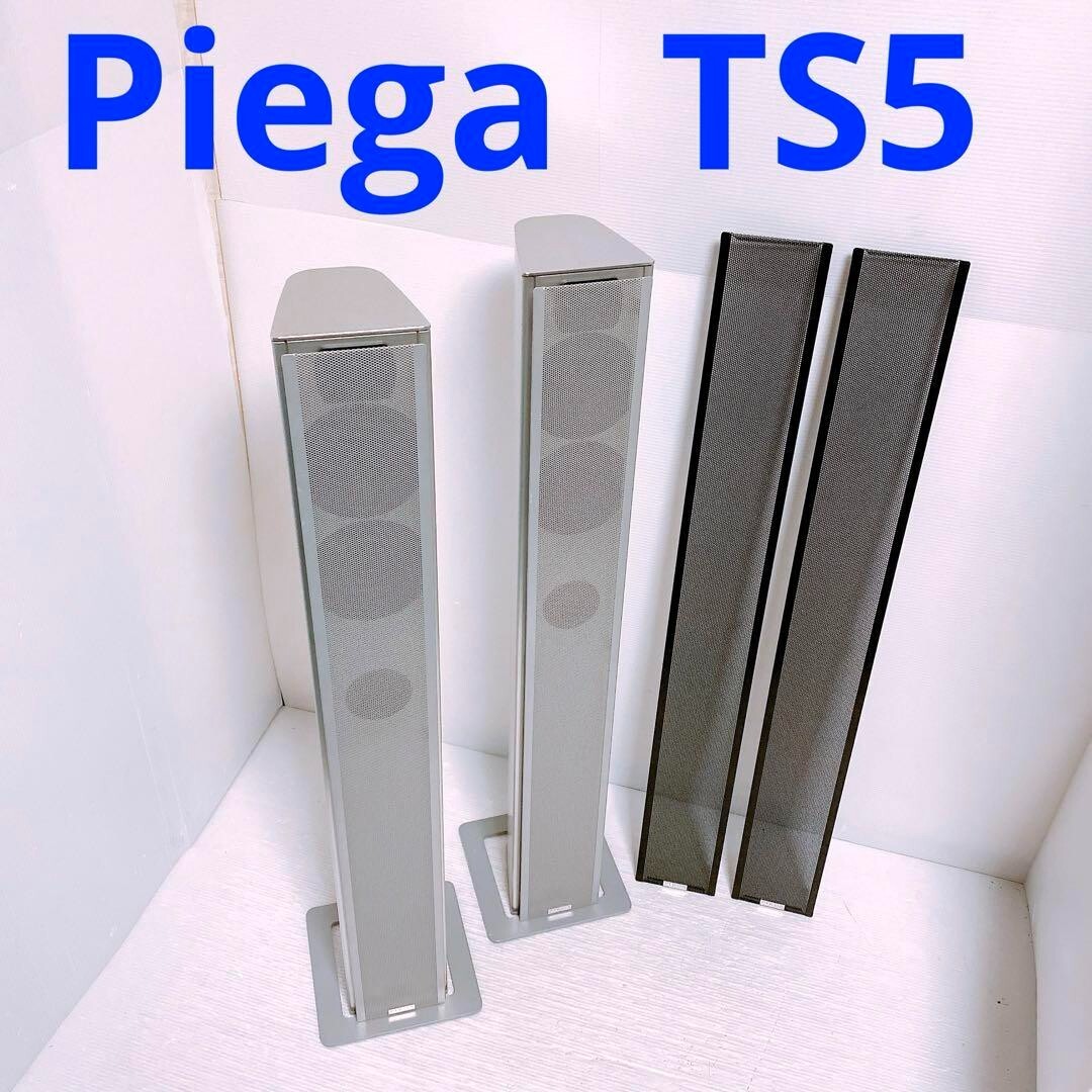 Piega Swiss Made Luxury Tallboy Speaker TS5 Pair set Operation