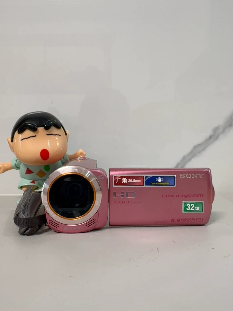 SONY HDR-CX270V 1080p HD Video Camera Handycam 30x Zoom -Pink | eBay