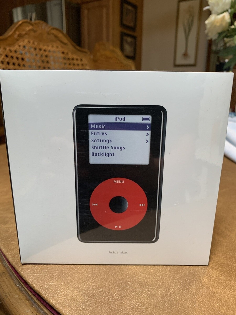 ZARD iPod未使用 スペシャルCD付き 美品 ZARD iPod未使用 スペシャルCD