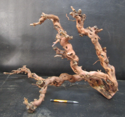 Grapewood/Grapevine, 27