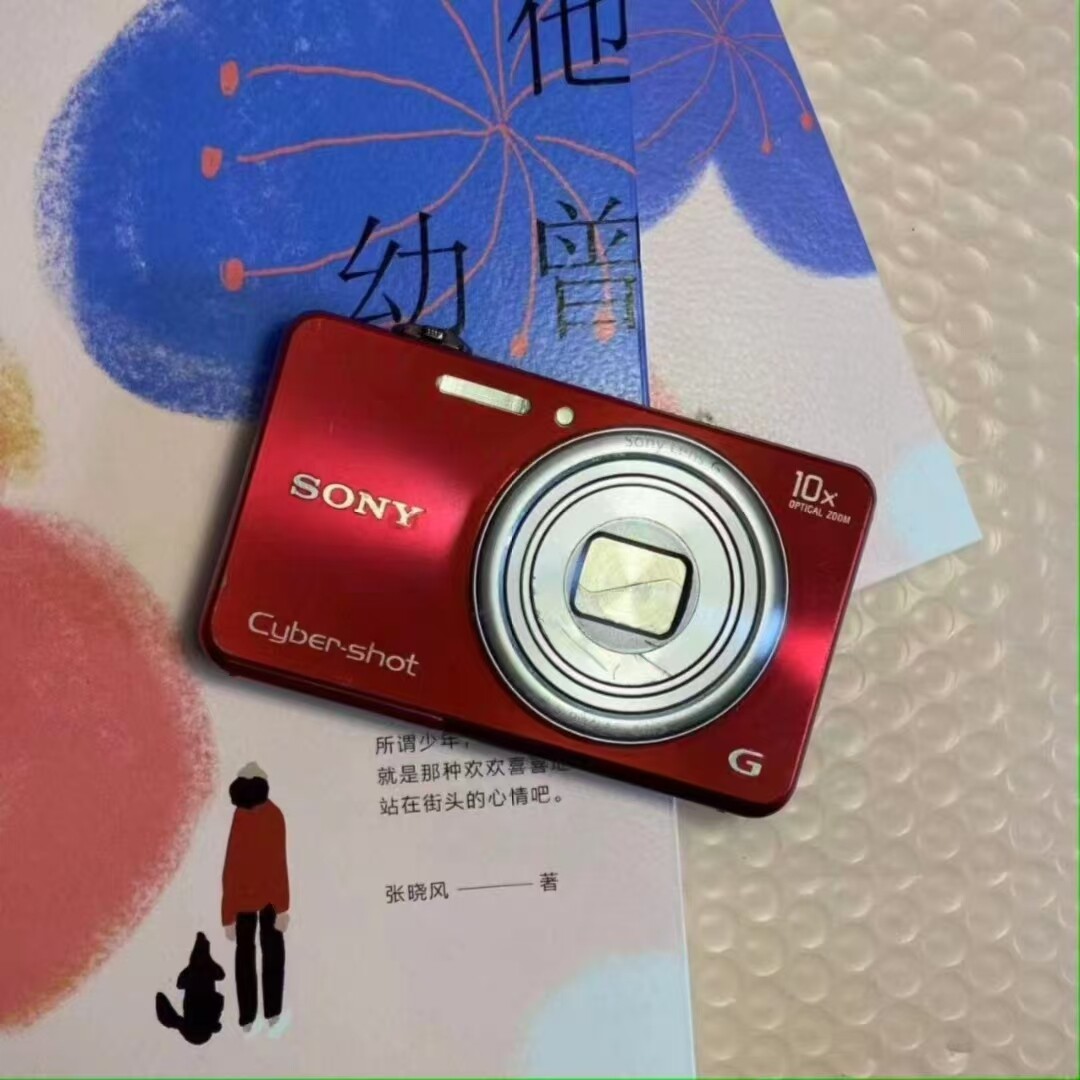 Sony Cyber-shot DSC-WX150 10X Optical Zoom 18.2MP Digital Camera