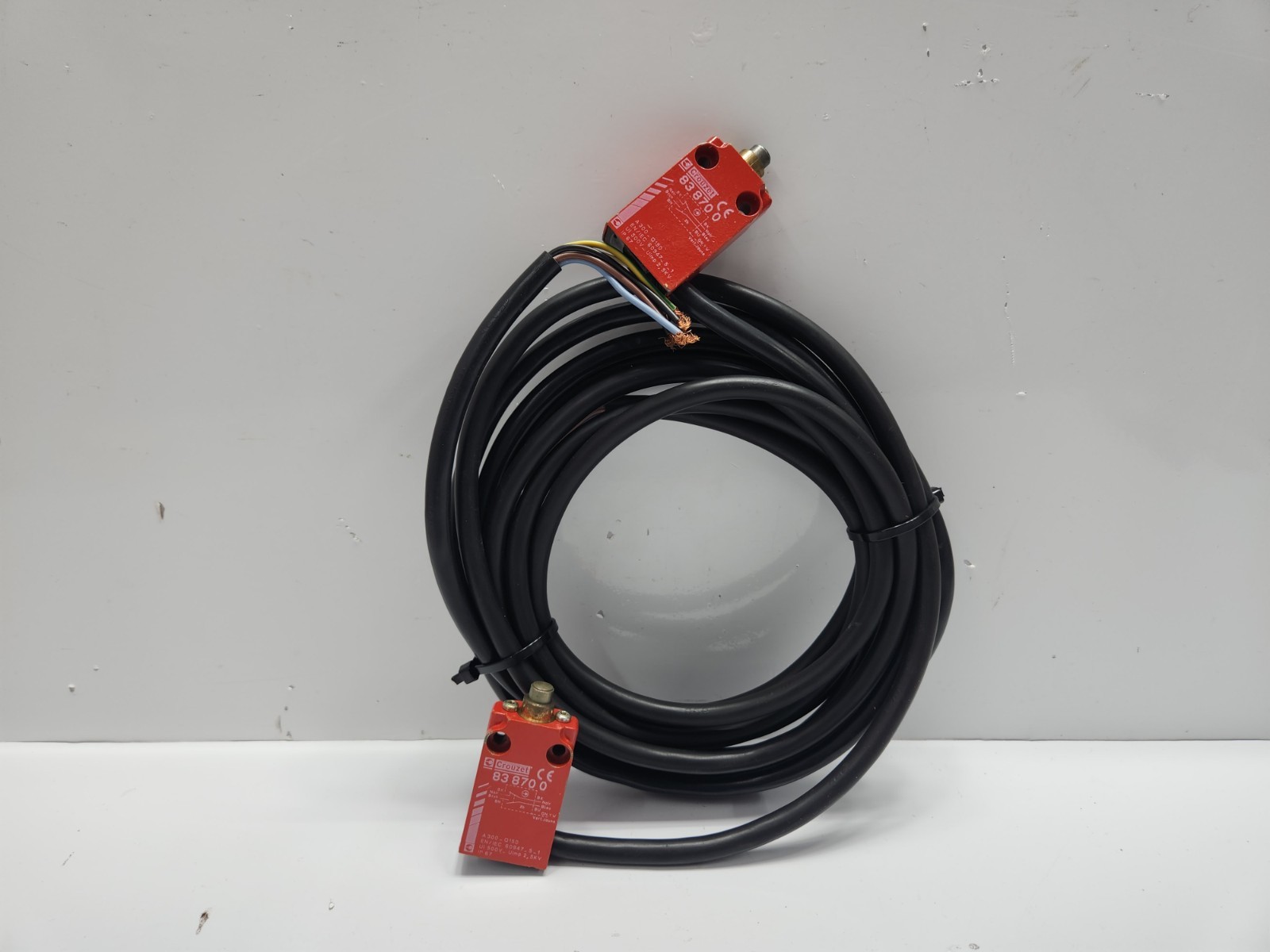 CROUZET 838700 PRE-WIRED LIMIT SWITCH IP67 - LOT OF 2 | eBay