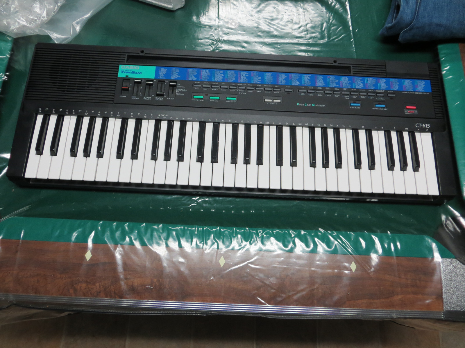 CASIO CT-615 TONE BANK 210 TONE BANK 61 KEY KEYBOARD W/SUSTAIN