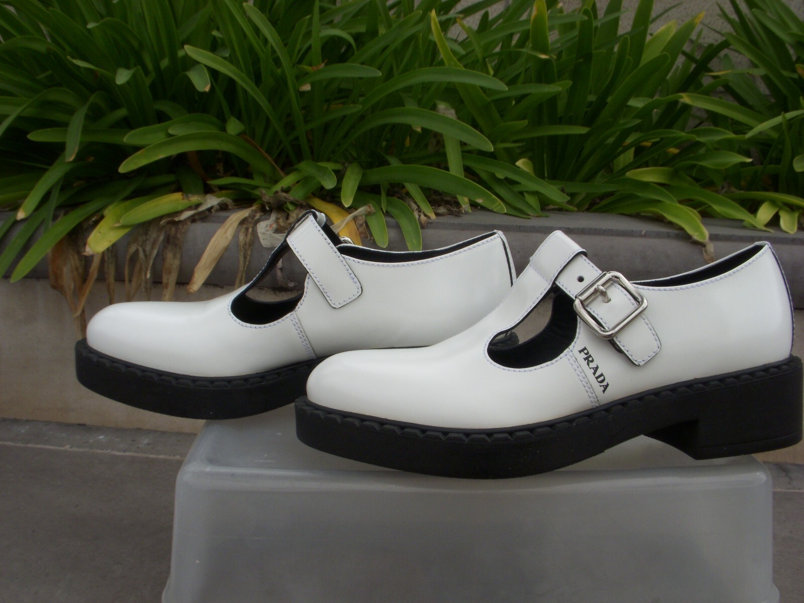 $_57.JPG?set_id=880000500F