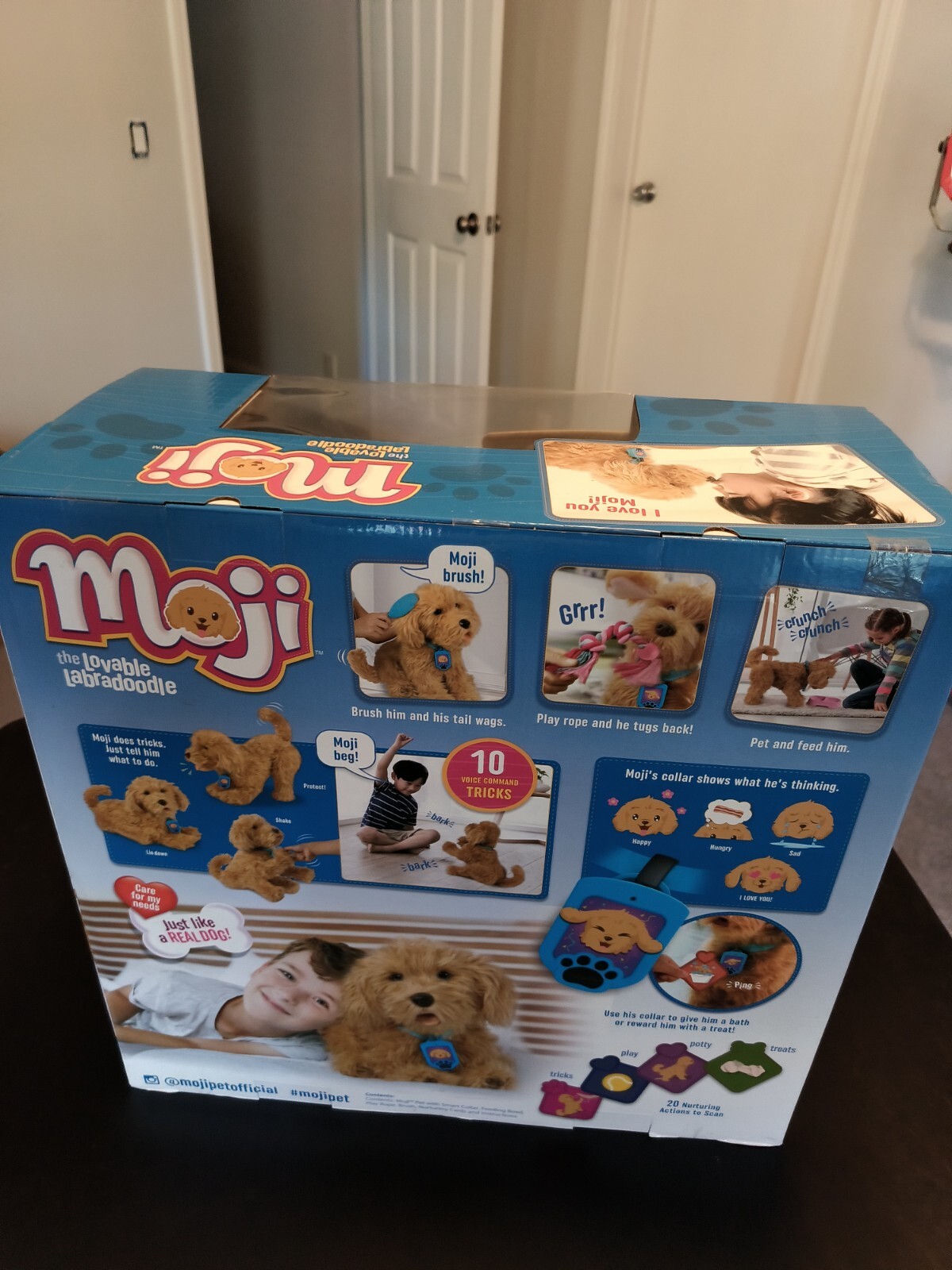 LOVE LIKE POP 8 ぬいぐるみ・マスコット 2個セット LLP8 aiko LIVE