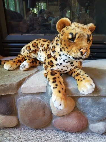 $_12.JPG?set_id=880000500F