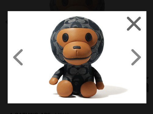 $_12.JPG?set_id=880000500F