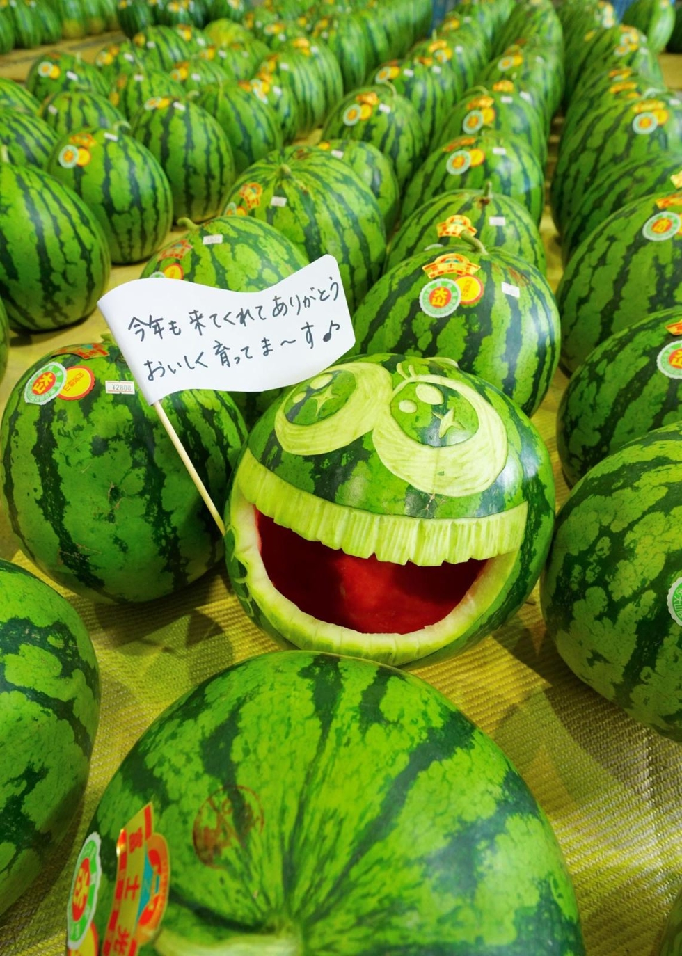 思わずにっこり、スイカアート 丹波篠山「大山スイカ」 JAスタッフが
