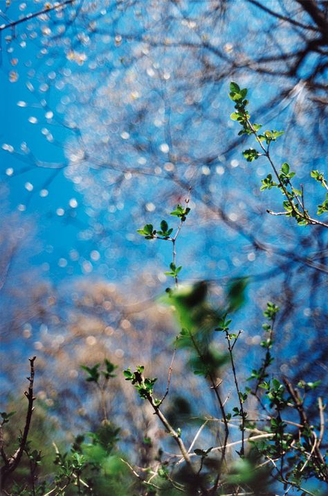 a5a76c2dc967faa6bc1afb64d7b95c