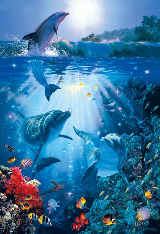 ハワイ」のアイデア 15 件 | ラッセン イルカ, クリスチャンラッセン