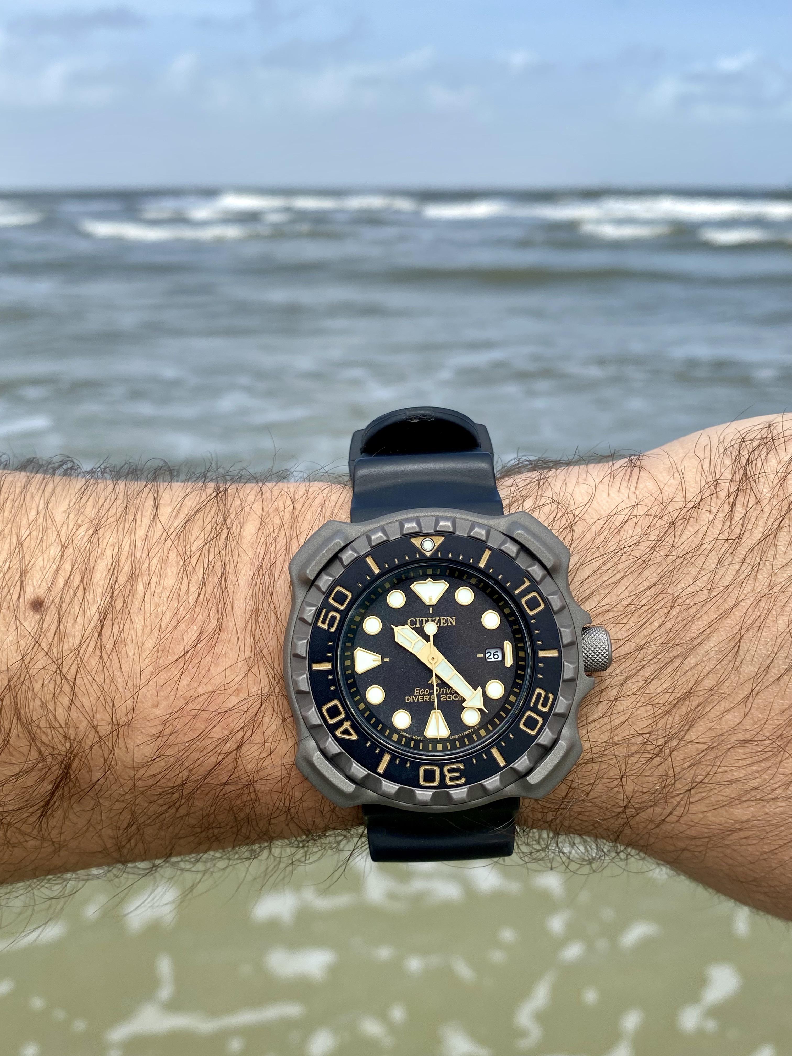 Citizen Retrozilla in her habitat [BN0220] : r/CitizenWatches