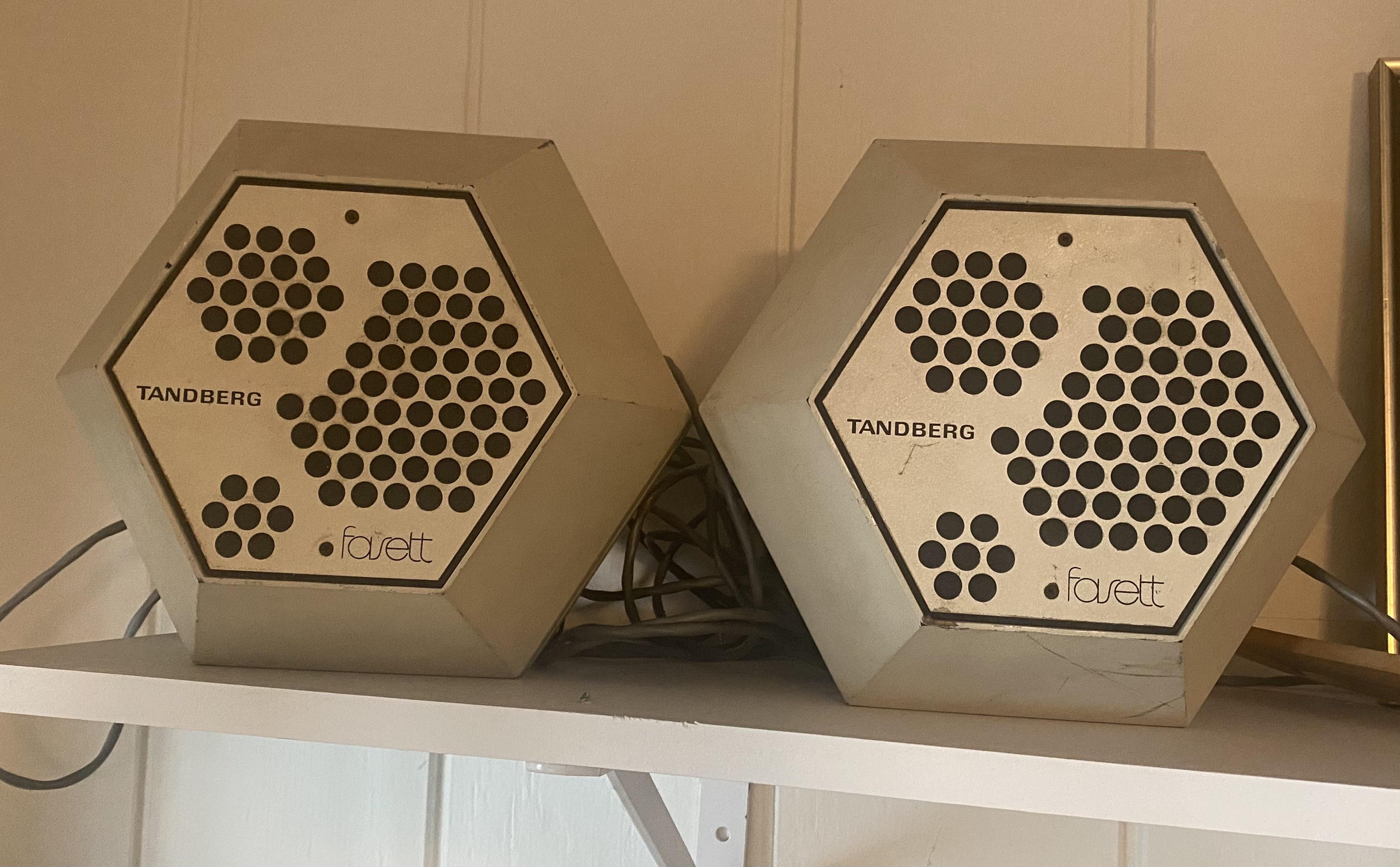 Tandberg Fasett スピーカー。これ、修理する価値あるかな？聞いたこと