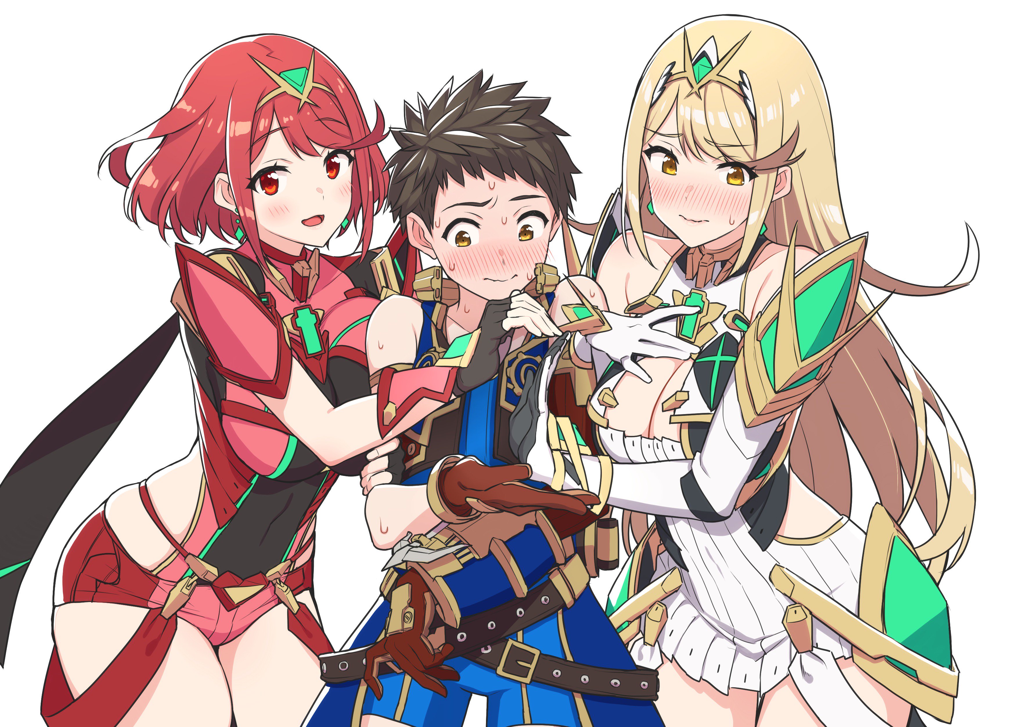 Xenoblade 2! Congratulations on the second anniversary! : r