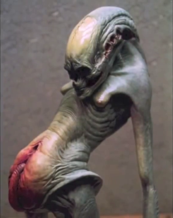 エイリアン4（エイリアン・レザレクション）のニューボーンのデザイン