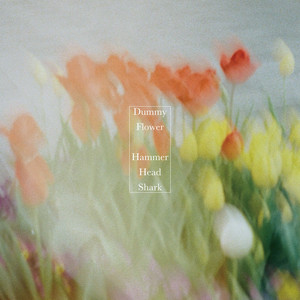 Hammer Head Shark | Spotify