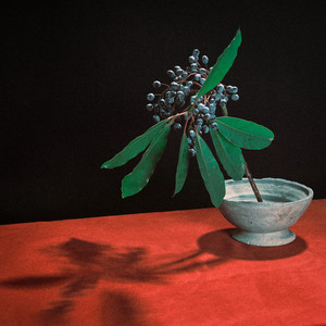 哀愁演劇 - Album by indigo la End | Spotify