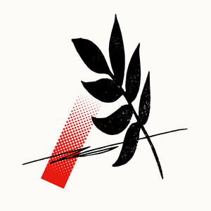 花鳥風月 - Album by Guiano | Spotify