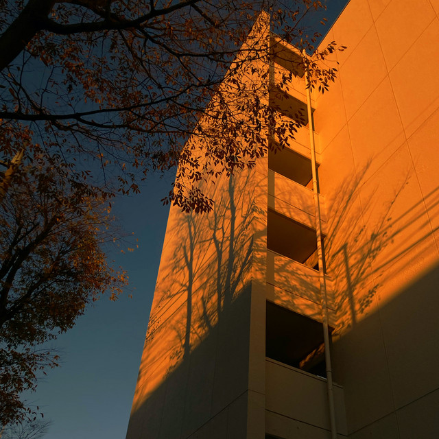 カネコアヤノ 単独演奏会 2022 秋 - 9.26 関内ホール - Album by