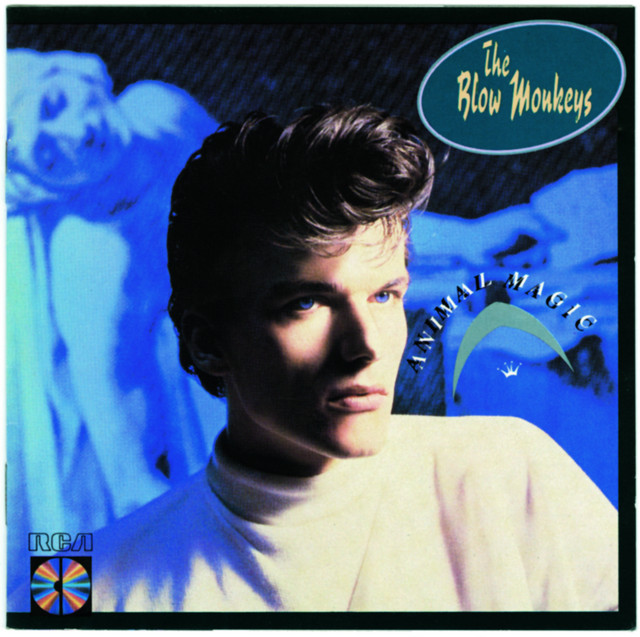 Digging Your Scene - song and lyrics by The Blow Monkeys | Spotify