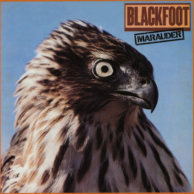 Marauder - Album by Blackfoot | Spotify