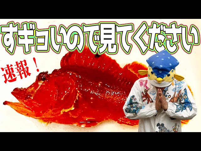 First time in 54 years] We've caught an incredible, mythical fish