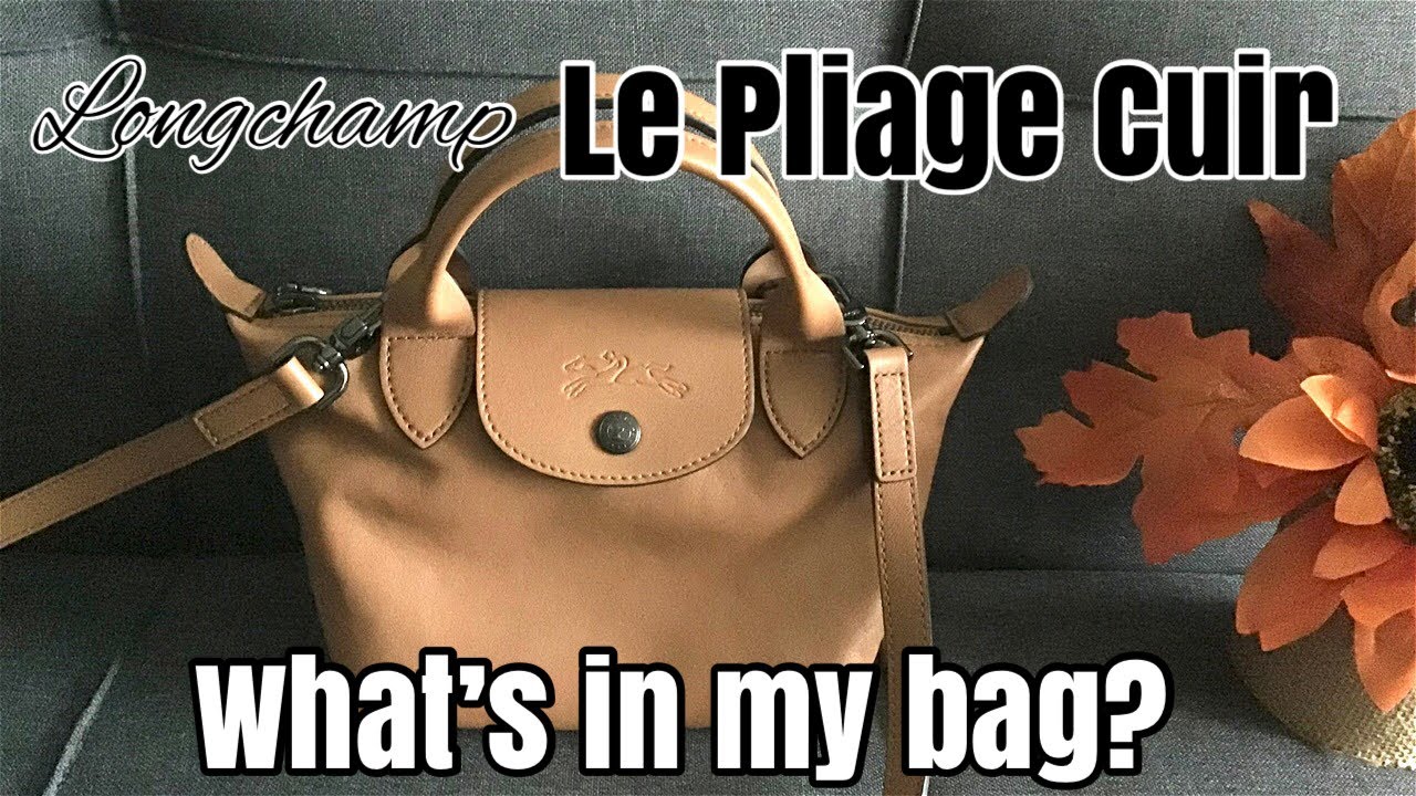 ロンシャン ルプリアージュ キュイールXS - バッグの中身 Longchamp Le