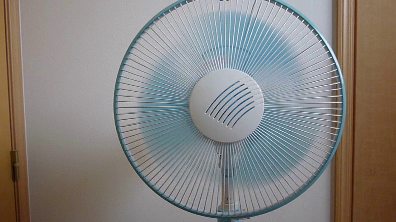 maxresdefault.jpg?sqp=-