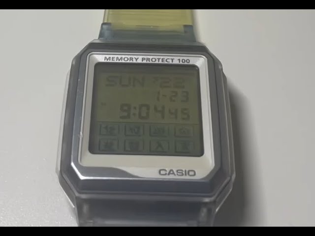 CASIO データバンク VDB200SJ レビュー - YouTube