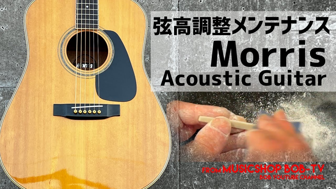 Morris アコースティックギター【メンテナンス記録】弦高調整 #ボブ