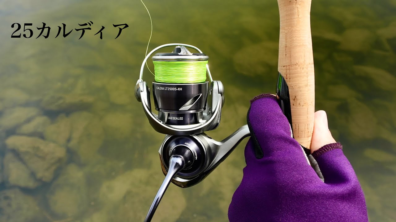 25カルディア 徹底インプレ