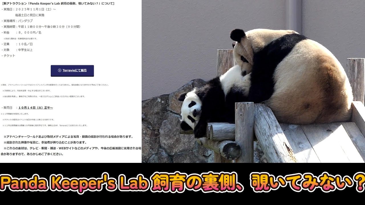 Panda News] PANDA LOVE CLUB A time for connecting and loving