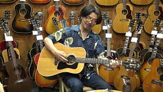 GUILD D 50 NT 1977 - YouTube