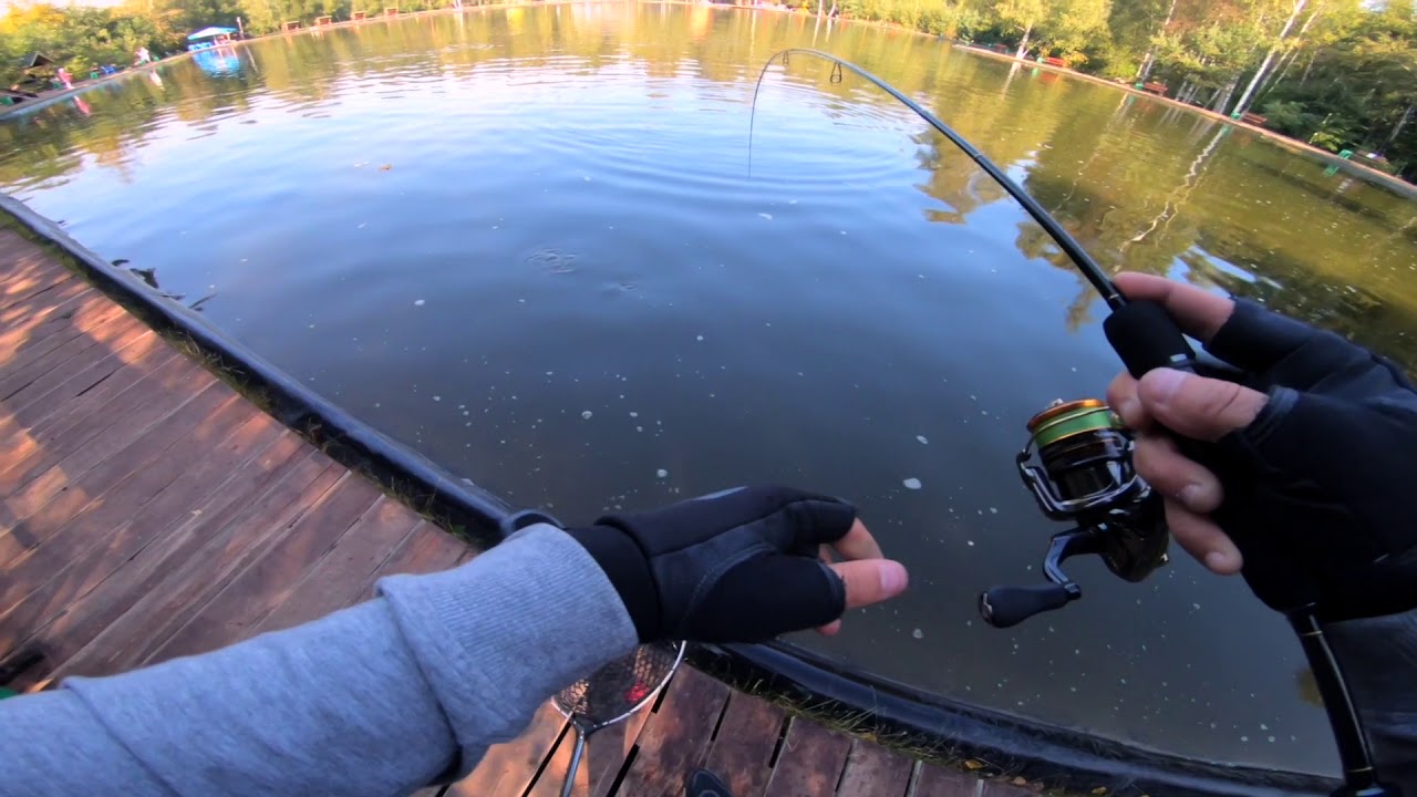 YAMAGA BLANKS BLUECURRENT JH-SPECIAL 62TZ NANO - YouTube