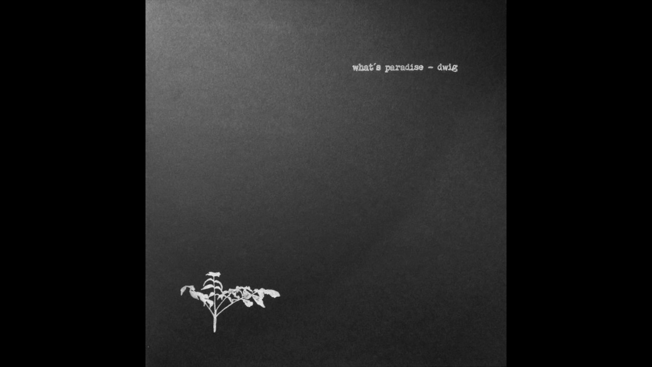 Dwig - What's Paradise (Full Album) - YouTube