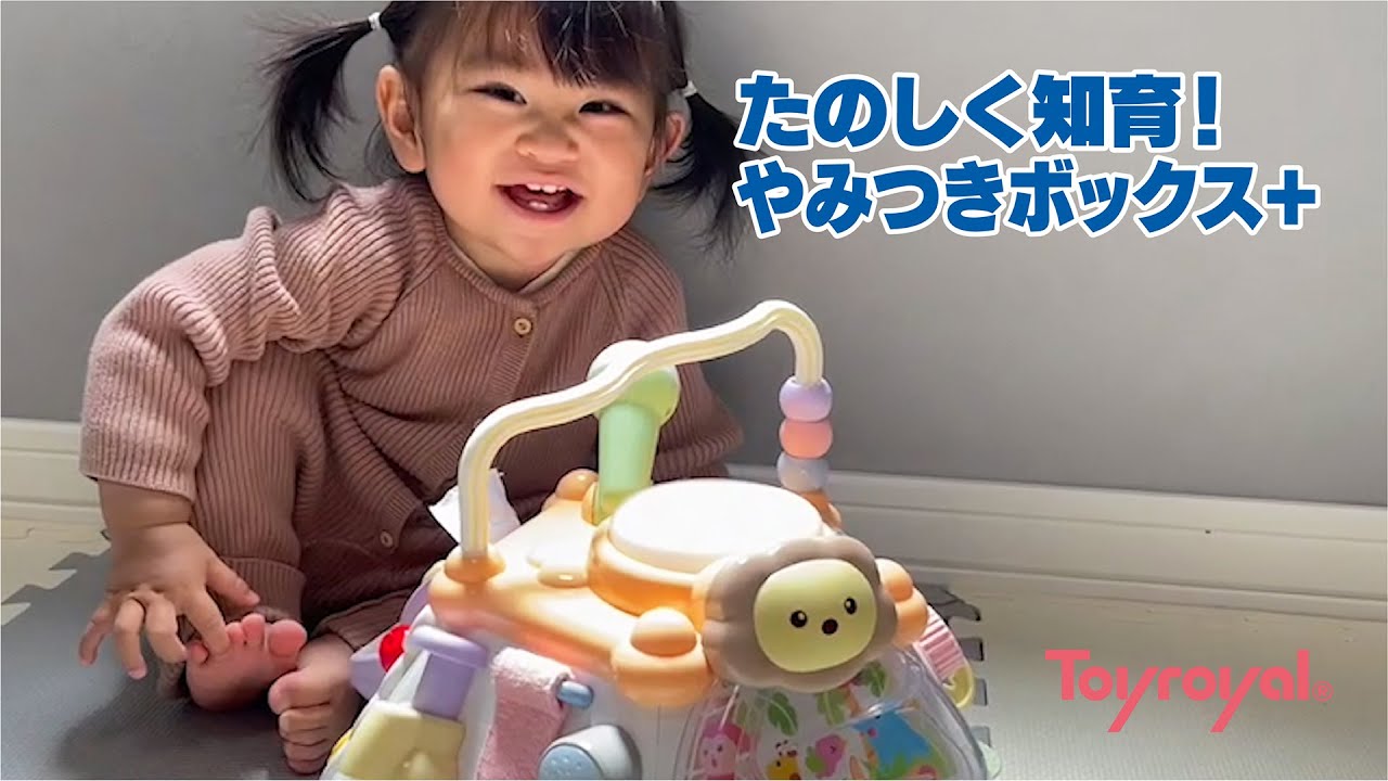 たのしく知育！やみつきボックス＋ | トイローヤル