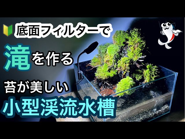 滝が流れる小型渓流水槽】30センチアクアテラリウム ～How to make a