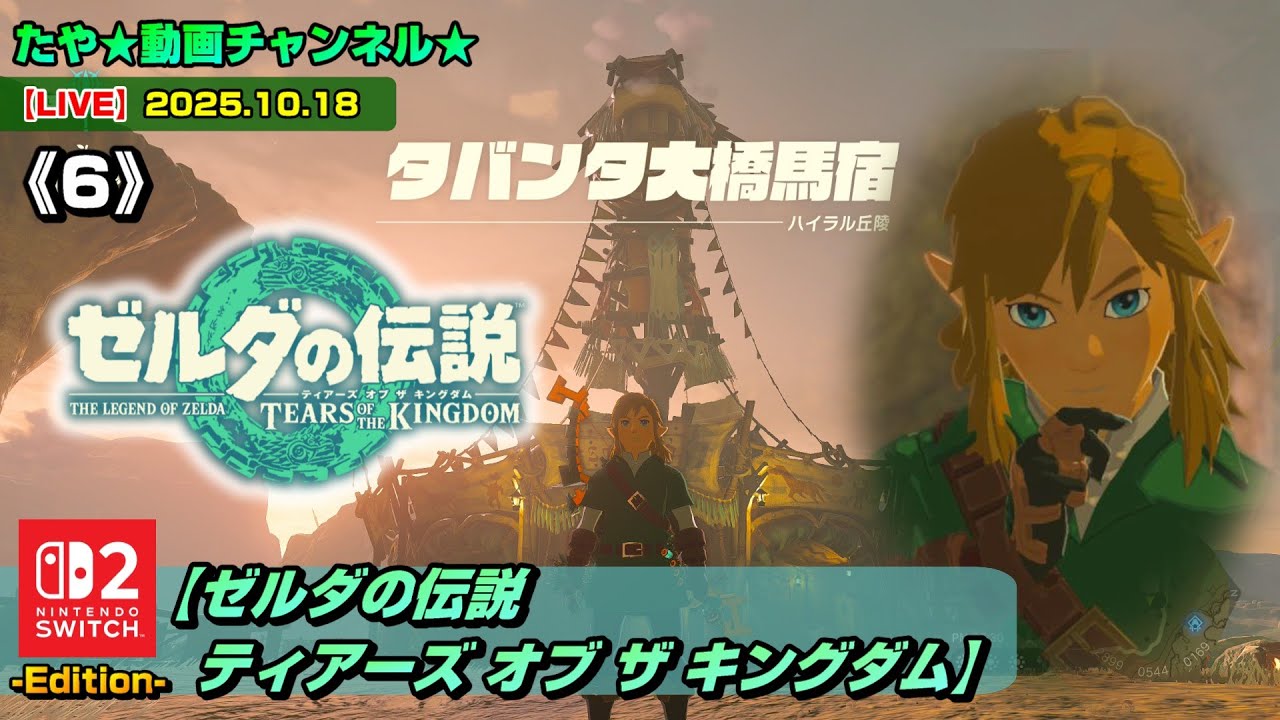 ゼルダの伝説 ティアキン ブレオブ 2点 ゼルダの伝説 ティアキン