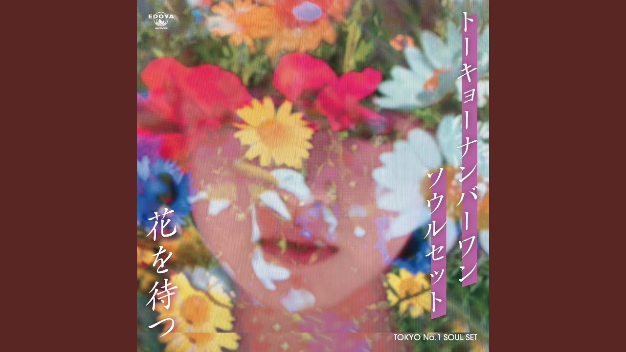 壷と花 壷と花 壷と花 壷と花 壷と花 Amazon.co.jp: ZX