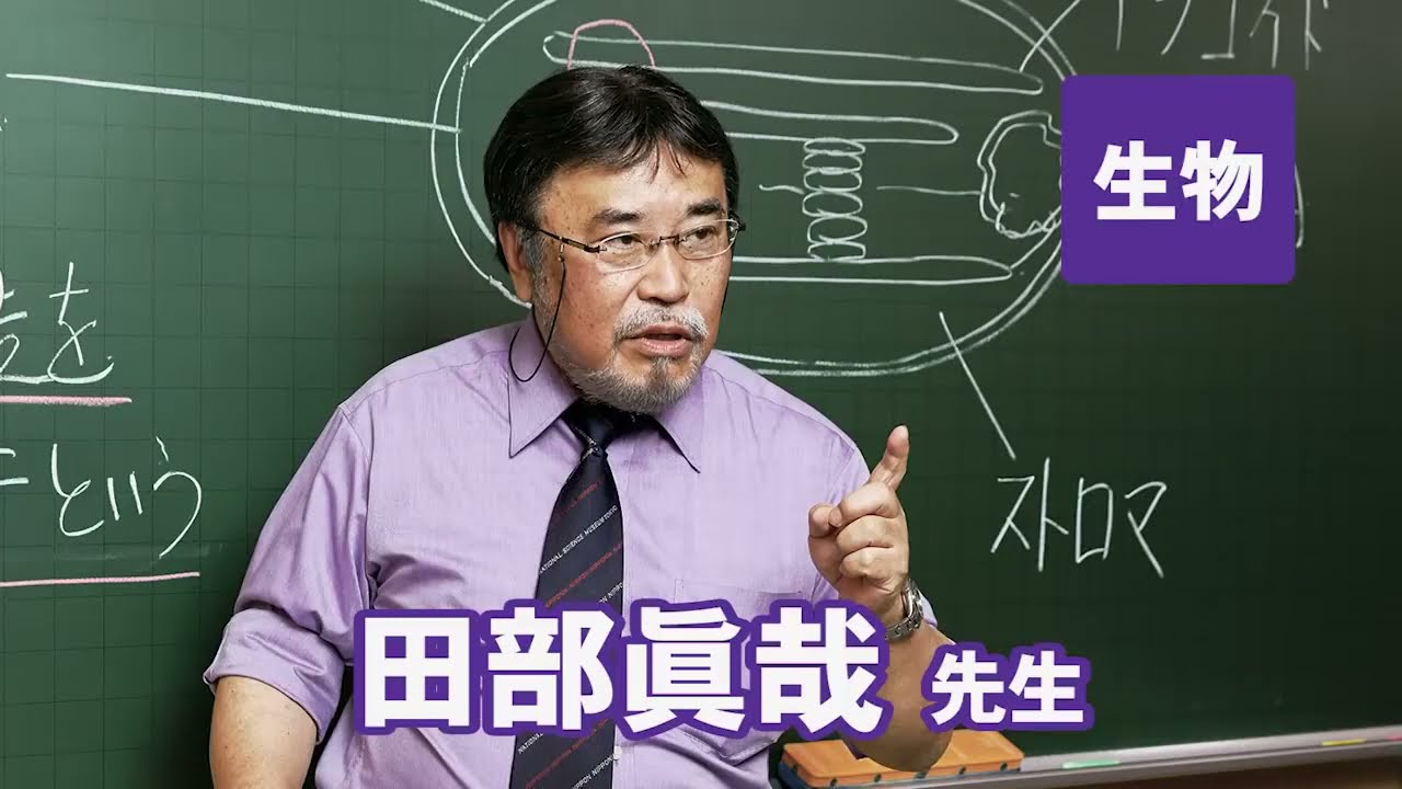 田部 眞哉先生｜実力講師陣｜東進ドットコム
