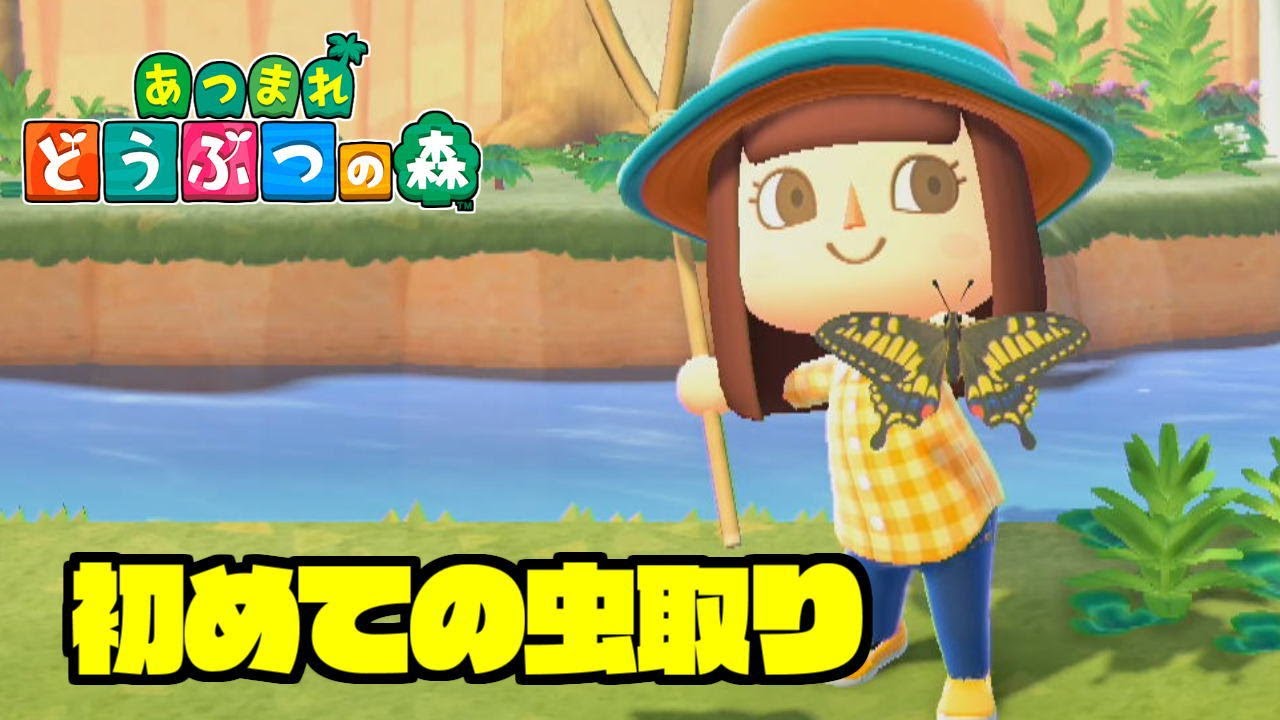 虫あみ作って昆虫採取！【あつ森】あつまれどうぶつの森 Part 6 - YouTube