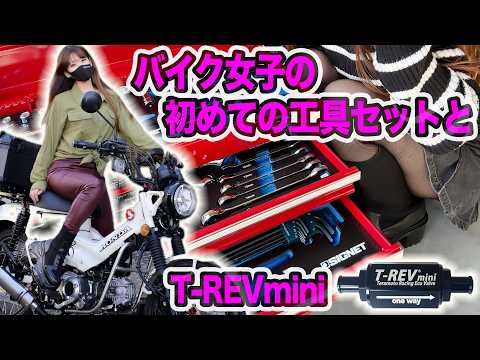 弱小YouTuber⭐︎Sちゃん【猫Photo Rider】 - YouTube