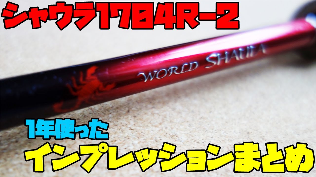 Summary of impressions after using the New World Shaula 1704R-2