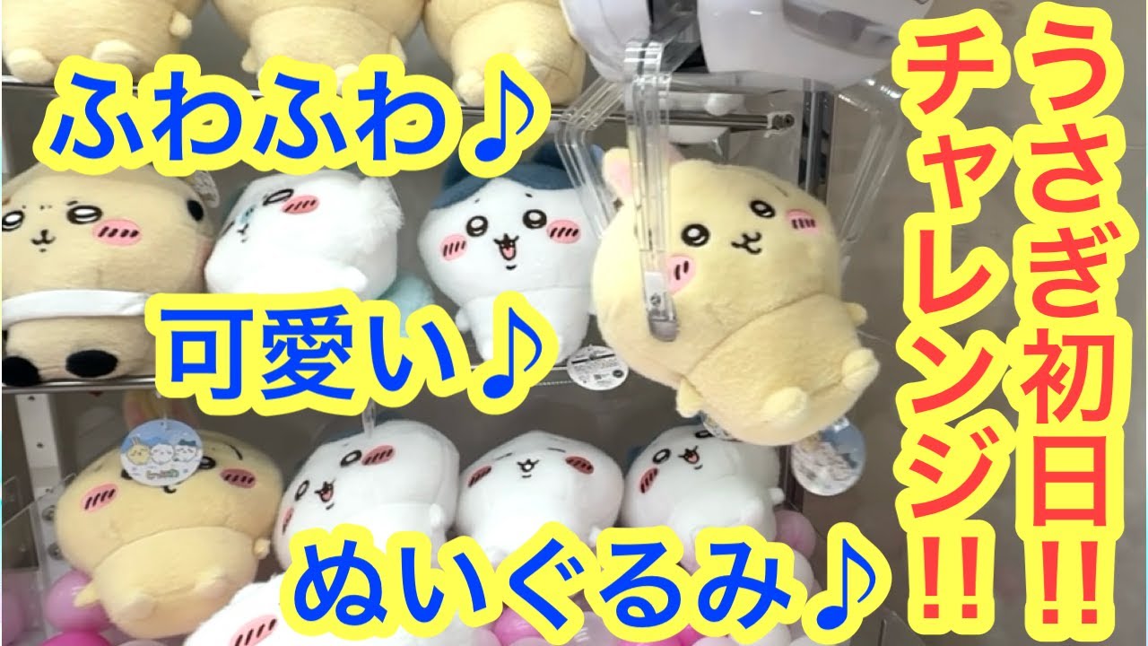 Chiikawa] First day Chiikawa Prize Challenge!! Rabbit Sheepwa