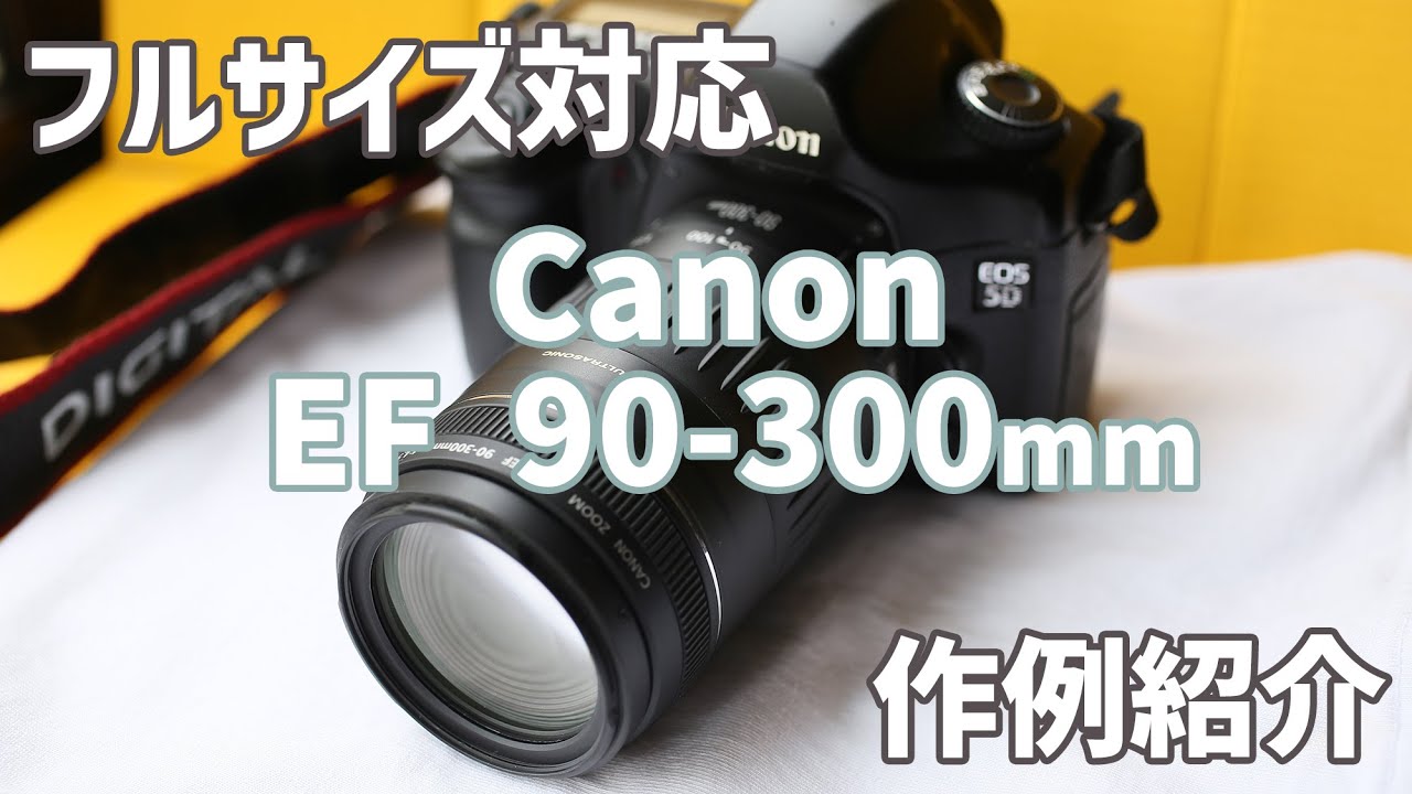作例あり】フルサイズ対応！格安望遠ズーム canon ef90-300mm USMを