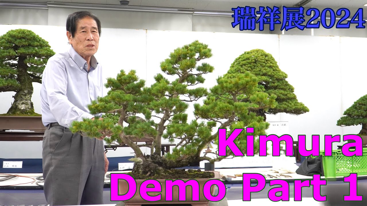 Zuisho Bonsai Demonstration by Master Kimura Part 2 木村先生による