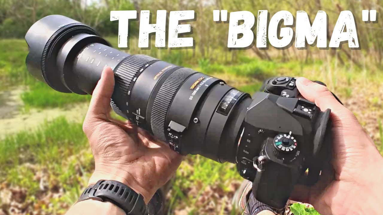 Birding with the Sigma 50-500mm Lens On The Pentax K-3 III - YouTube