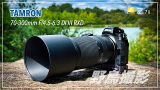 先行】TAMRON 70-300mm f/4.5-6.3 & Nikon Z 7Ⅱ で野鳥撮影してみた